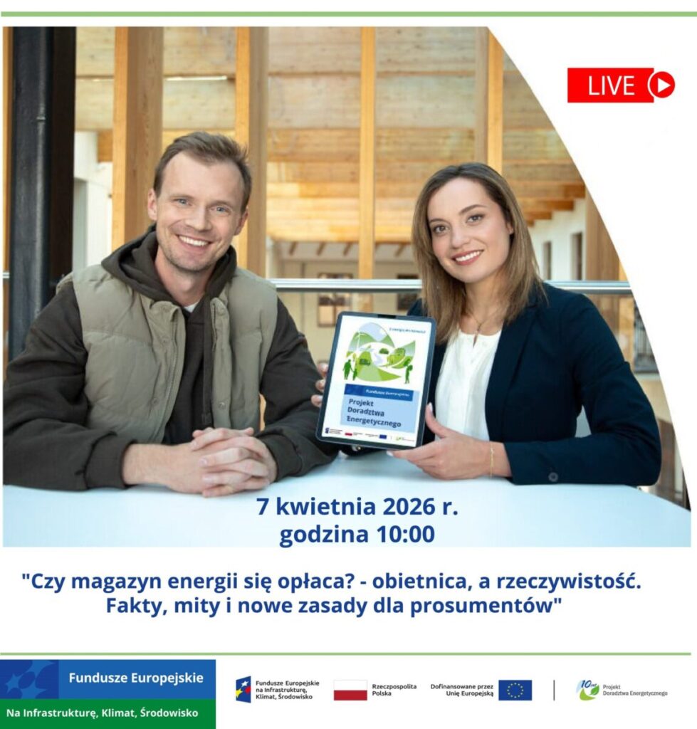 Webinarium: czy magazyn energii się opłaca? Fakty, mity i nowe zasady dla prosumentów